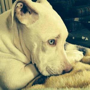 Meet your Posher, Melanie